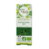 Ulei Esential de Ravintasera Bio - Born to Bio Organic Essential Oil Ravintsara Bio, 10ml