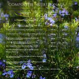 supliment-pentru-detoxifiere-santarome-bio-detox-bio-20-fiole-1753428476467-1.jpg
