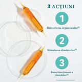 supliment-pentru-detoxifiere-santarome-bio-detox-bio-20-fiole-1753428481274-1.jpg