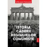 Istoria caderii regimurilor comuniste - Stelian Tanase, editura Publisol