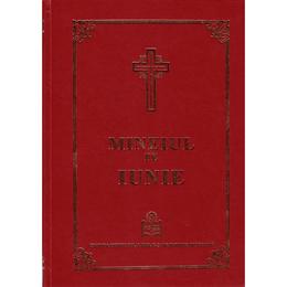 Mineiul pe iunie, editura institutul biblic
