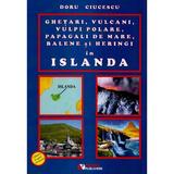 Ghetari, vulcani, vulpi polare, papagali de mare, balene si heringi in Islanda - Doru Ciucescu, editura Rovimed