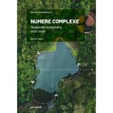 Mari idei ale matematicii. Numere complexe - Bartolo Luque, editura Litera