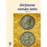 Dictionar roman-latin - Virgil Matei, editura Paideia
