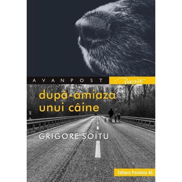 Dupa-amiaza unui caine - grigore soitu, editura paralela 45