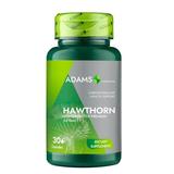 Extract Paducel Hawthorn Adams Supplements, 30 capsule