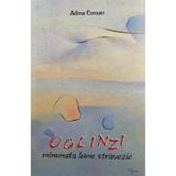 Oglinzi. minunata lume stravezie - Adina Coman, editura Agnos