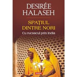 Spatiul dintre nori. Cu rucsacul prin India - Desiree Halaseh, editura Polirom