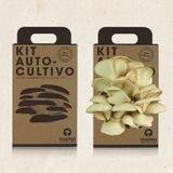 kit-plantare-ciuperci-pleurotus-ts-9974-4.jpg