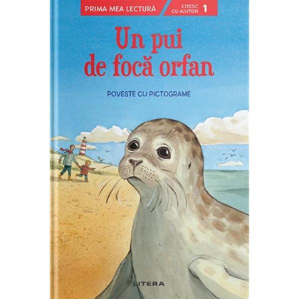 Un pui de foca orfan. poveste cu pictograme. nivelul 1, editura litera