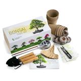 Kit de crestere plante Home Bonsai
