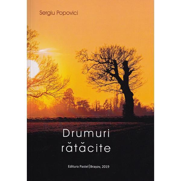 Pastel Drumuri ratacite Sergiu Popovici, editura