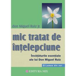 Mic tratat de intelepciune - Don Miguel Ruiz Jr., editura Mix