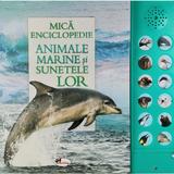 Mica Enciclopedie: Animale Marine si Sunetele Lor