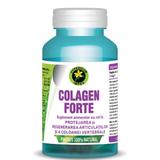 Colagen Forte Hypericum, 60 capsule