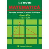 Matematica. Exercitii si probleme de algebra si geometrie - Clasa 7 - Semestrul 1 - Ion Tudor, editura Carminis
