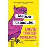 Matura sistemului - David Foster Wallace, editura Curtea Veche