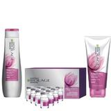 Kit Biolage pentru Cresterea Densitatii Parului, Fiole Full Density Hair System 10x6, Balsam reconditionare par subtire 200ml, sampon impotriva ruperii parului fragil 250 ml