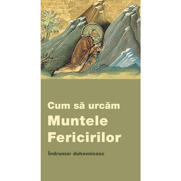 Cum sa urcam Muntele Fericirilor. Indrumar duhovnicesc, Editura De Suflet