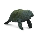 Lamantinul Pui - Collecta