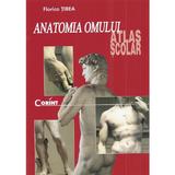 Anatomia omului. Atlas scolar - Florica Tibea, editura Corint