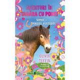 Aventuri in tabara cu ponei. Sophie si poneiul misterios - Olivia Tuffin, editura Univers