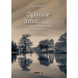 Oglinzile infinitului. Ce sunt filozofiile istoriei si la ce folosesc - Bogdan Ivascu, editura Eikon