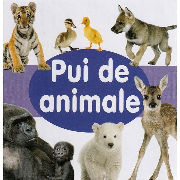 Pui de animale, editura flamingo