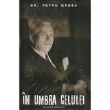 In umbra celulei - Petru Groza