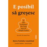 E posibil sa gresesc - Bjorn Natthiko Lindeblad, Caroline Bankler, Navid Modiri, editura Lifestyle