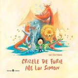 Crizele de furie ale lui Simon - Ian de Haes, editura Univers