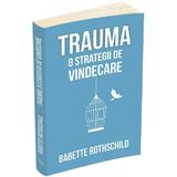 Trauma. 8 strategii de vindecare - Babette Rothschild, editura Herald