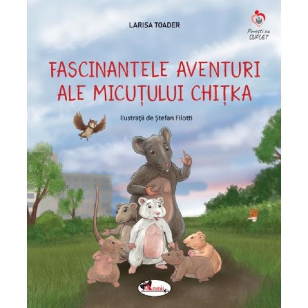 Fascinantele aventuri ale micutului Chitka - Larisa Toader, editura Aramis