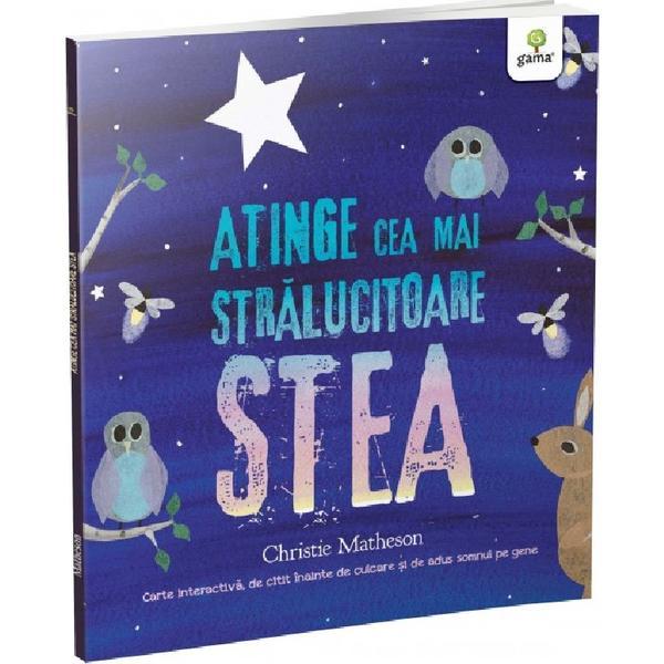 Atinge cea mai stralucitoare stea - Christie Matheson, editura Gama