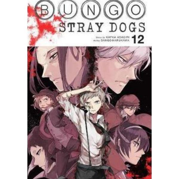 Bungo stray dogs vol 12