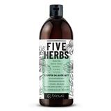 Sampon reechilibrant, par normal si gras, pe baza de 5 plante Five Herbs, Barwa Cosmetics, 480 ml