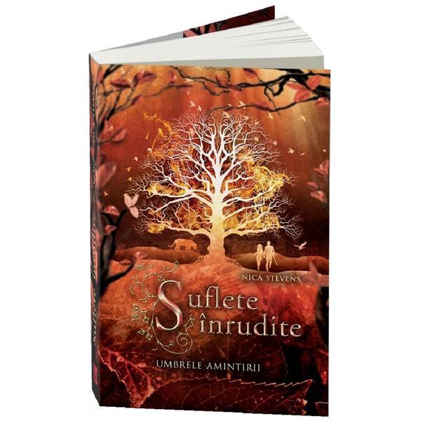Suflete inrudite. Umbrele amintirii - Nica Stevens, editura Unicart