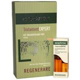 kit-regenerare-par-fiole-gerovital-tratament-expert-kit-for-hair-regeneration-ampoules-20-fiole-1531815230402-1.jpg