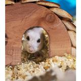 casuta-din-lemn-pentru-hamster-h-17-cm-natur-5.jpg