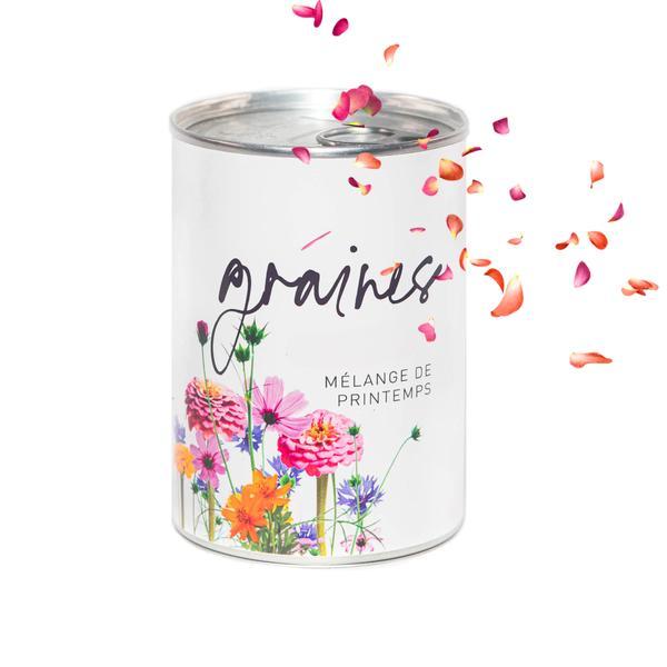 Kit de plantare flori de primavara