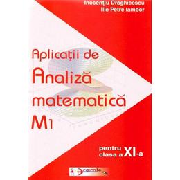 Aplicatii De Analiza Matematica M1 Cls 11 - Inocentiu Draghicescu, Ilie Petre Iambor, editura Aramis