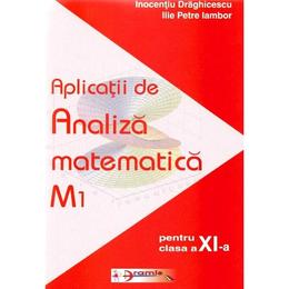 Aplicatii de analiza matematica m1 cls 11 - inocentiu draghicescu, ilie petre iambor, editura aramis
