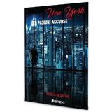 New York. Pasiuni ascunse - Rodica Mijaiche, editura Librex Publishing