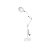 Lampa lupa cosmetica 24W, marire 5X, SP-31