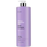 Sampon pentru Repararea Parului Blond & Neutralizarea Tonurilor Galbene - Erayba/ ABH Silver Shampoo No-Yellow 1000 ml