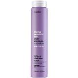 Sampon pentru Repararea Parului Blond & Neutralizarea Tonurilor Galbene - Erayba/ ABH Silver Shampoo No-Yellow 250 ml