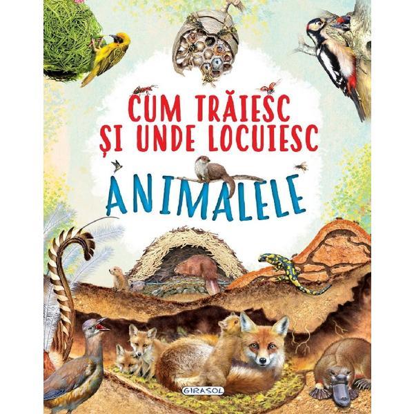 Cum Traiesc si Unde Locuiesc Animalele