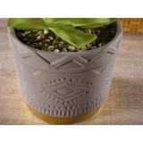 set-2-plante-artificiale-in-ghiveci-ceramica-9x10-5-cm-2.jpg