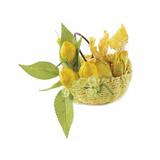 set-9-crengute-lamai-artificiale-13-cm-4.jpg