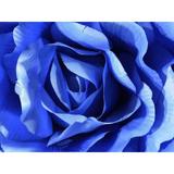 set-2-trandafiri-artificiali-albastri-suspendabili-42x25-cm-4.jpg